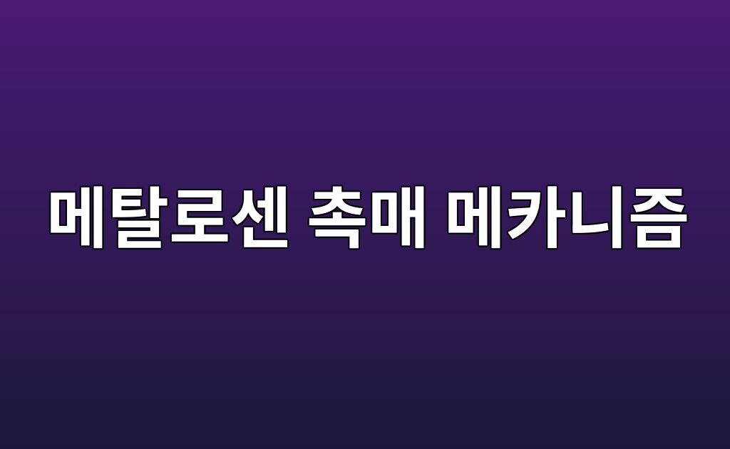메탈로센 촉매 메카니즘