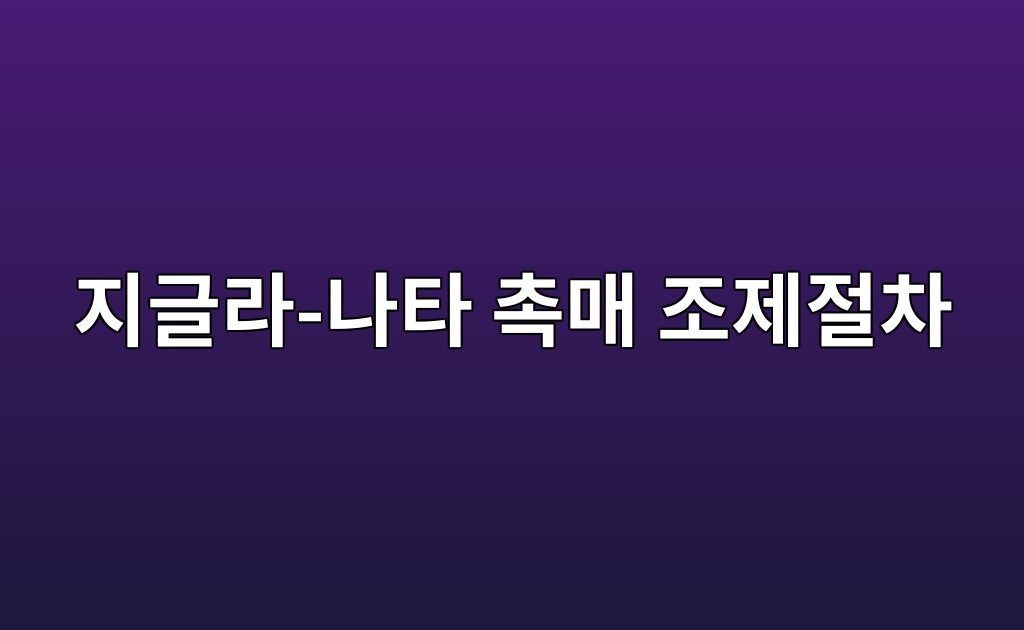 지글라-나타 촉매 조제절차