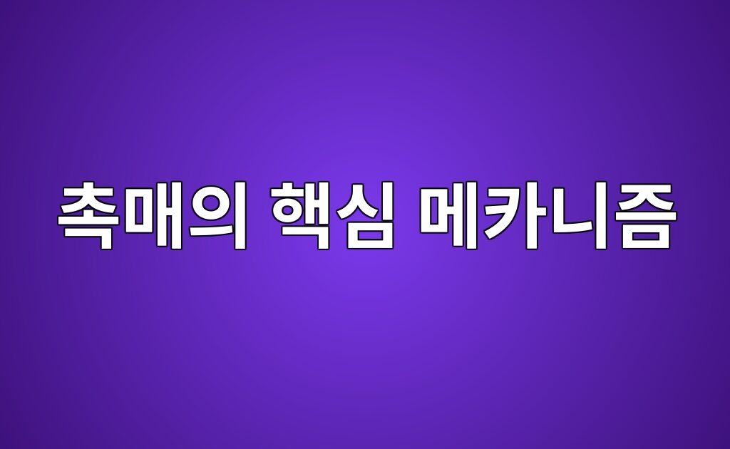 폴리머 촉매의 핵심 메카니즘